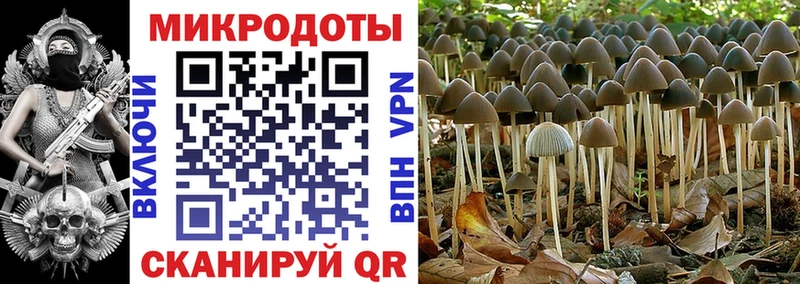 Галлюциногенные грибы GOLDEN TEACHER  Купить где  Феодосия 