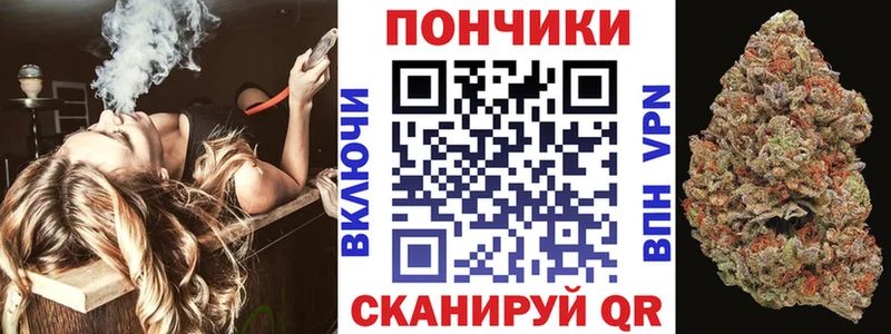 Купить где  Феодосия  Каннабис VHQ 